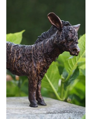Ânon - statue en bronze (BS8106B)