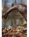 Canard avec la tête en bas - statue en bronze (BS1516B)