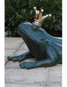 Kikkerprins fontein - bronzen beeld (B1465)