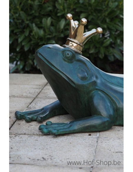Kikkerprins fontein - bronzen beeld (B1465)
