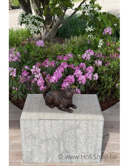 Chat avec papillion - statue en bronze (BS1192B)