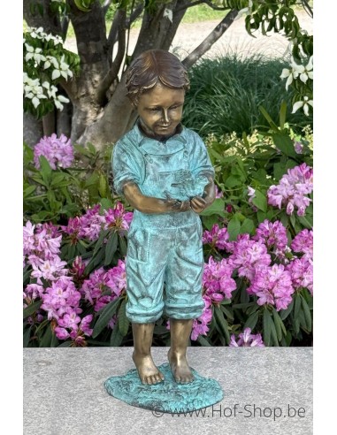 Jongen met vogel - bronzen beeld (AN1053BRW-V)
