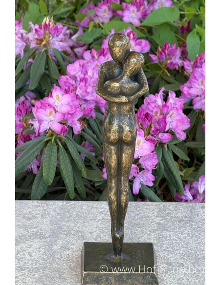 Couple d'amoureux modernes - statue en bronze (AN2702BR-BI)