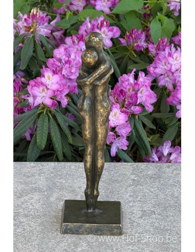 Modern liefdespaar - bronzen beeld (AN2702BR-BI)