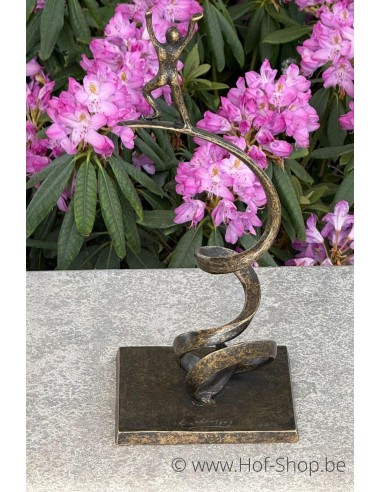 Reach for the Sky - statue en bronze (AN3068BR-BI)