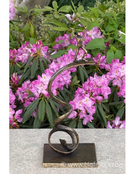 Reach for the Sky - bronzen beeld (AN3068BR-BI)