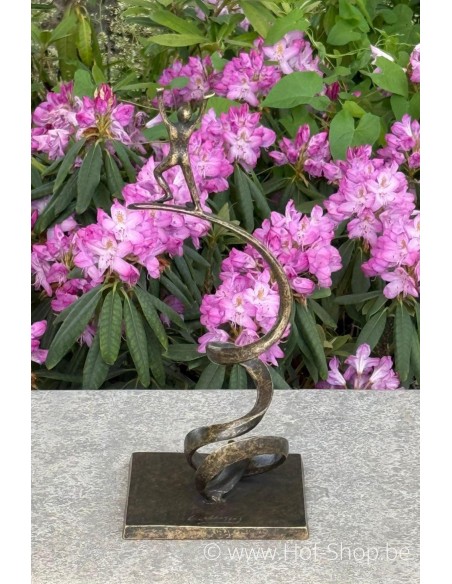 Reach for the Sky - bronzen beeld (AN3068BR-BI)