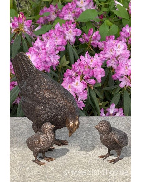 Kip met kuikens - bronzen beeld (BS1126B)