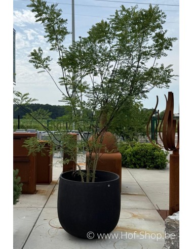 Mondo Brown Stone - Jardinière Cosapots en polyester