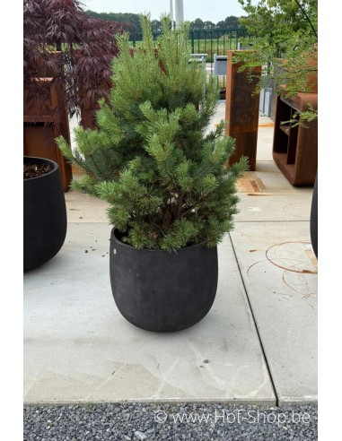 Modèle d'exposition Mondo Brown Stone 50 cm - Jardinière Cosapots en polyester