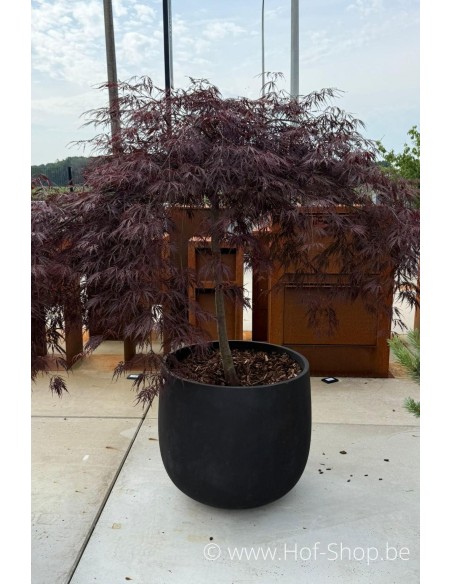 Toonzaalmodel Mondo Brown Stone 66 cm - Cosapots Plantenbak in polyester