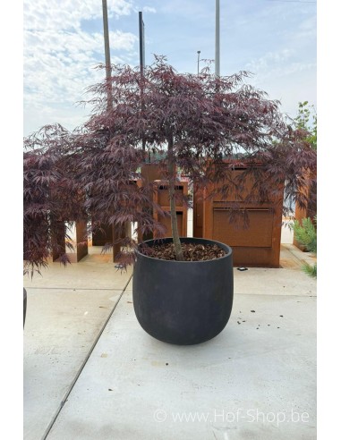 Toonzaalmodel Mondo Brown Stone 66 cm - Cosapots Plantenbak in polyester