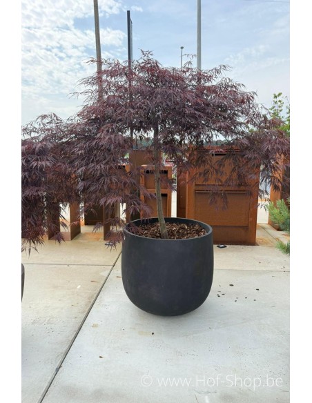 Toonzaalmodel Mondo Brown Stone 66 cm - Cosapots Plantenbak in polyester