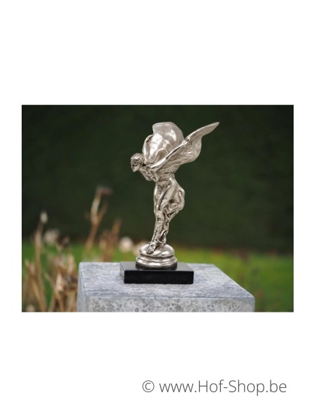 Spirit Of Ecstasy Zilver - sculpture en bronze (BS4186S)