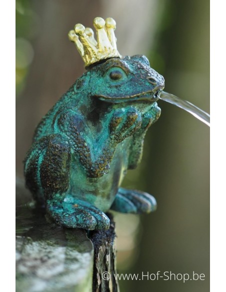 Grenouille avec couronne - sculpture en bronze (BS1383V-F)