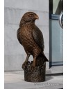 Havik op boomstronk - bronzen beeld (B1290)
