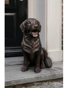 Golden retriever - statue en bronze (B1559)