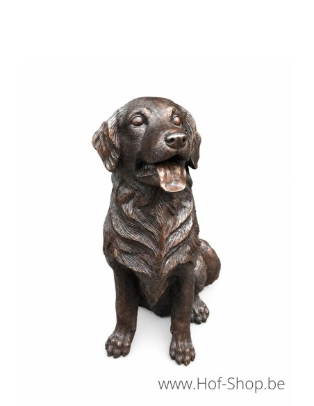 Golden retriever - statue en bronze (B1559)