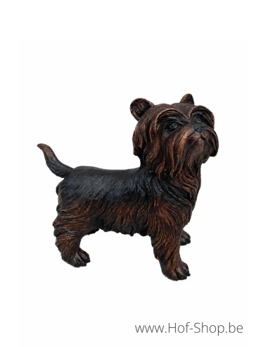 Yorkshire Terrier - statue en bronze (B98010)