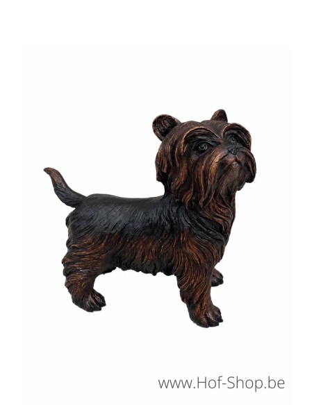 Yorkshire Terrier - bronzen beeld (B98010)