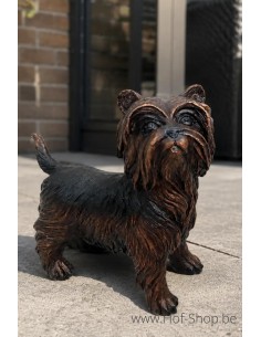 Yorkshire Terrier - statue en bronze (B98010)