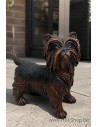 Yorkshire Terrier - statue en bronze (B98010)