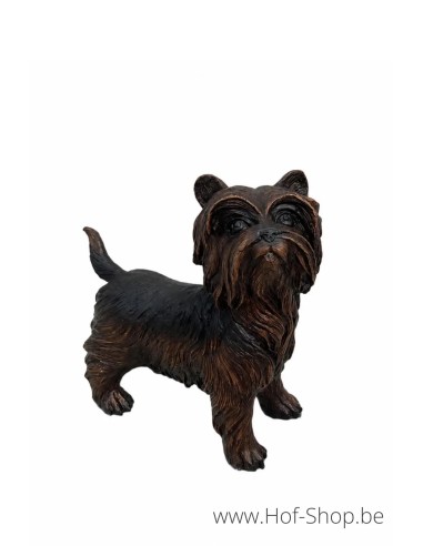 Yorkshire Terrier - bronzen beeld (B98010)