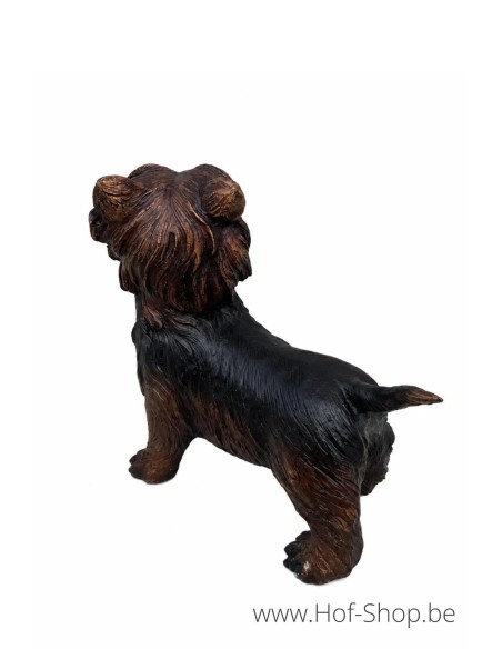 Yorkshire Terrier - statue en bronze (B98010)