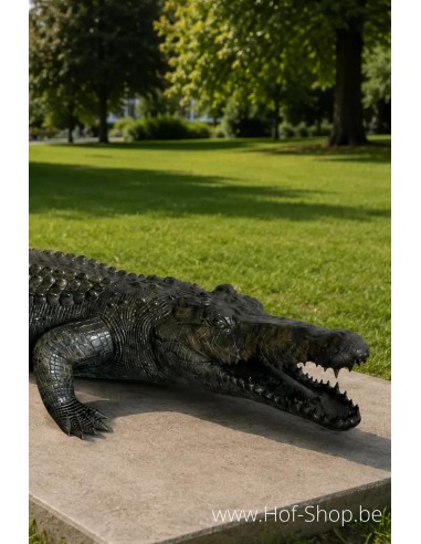Alligator - statue en bronze (B1581)