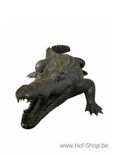 Alligator - statue en bronze (B1581)