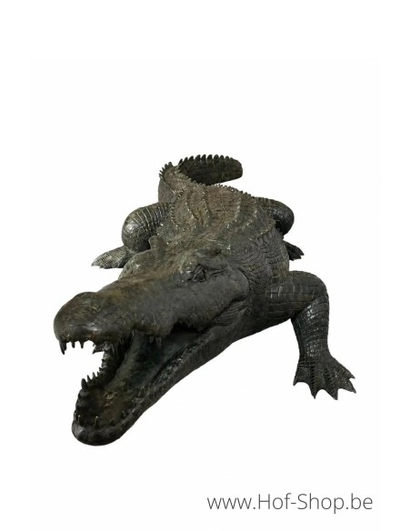 Alligator - statue en bronze (B1581)