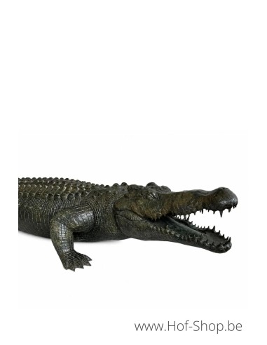 Alligator - statue en bronze (B1581)