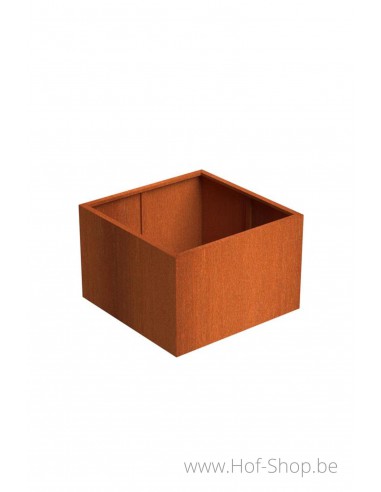 Carrez 120 x 120 x 80 cm - Jardinière Adezz en acier Corten