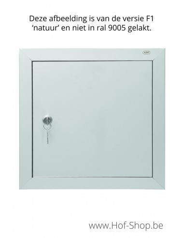 Brievenbusdeur type 529/2 - brievenkastdeur aluminium