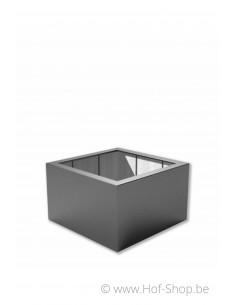 Buxus 100 x 100 x 60 cm - Plantenbak in polyester
