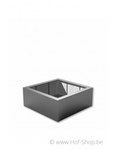 Buxus 100 x 100 x 40 cm - Plantenbak in polyester