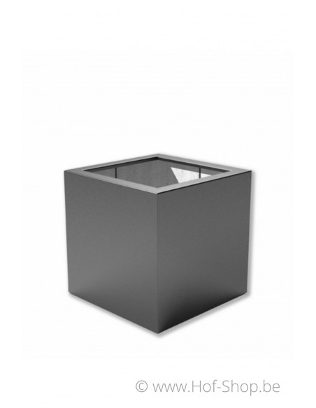 Buxus 80 x 80 x 80 cm - Plantenbak in polyester