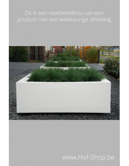 Verhuizer Vooruitgang Terminologie Buxus 80 x 80 x 60 cm - Plantenbak in polyester