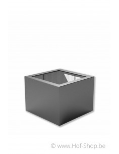 Buxus 80 x 80 x 60 cm - Plantenbak in polyester