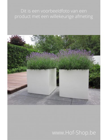 Carrez 150 x 25 x 80 cm - Jardinière Adezz en polyester