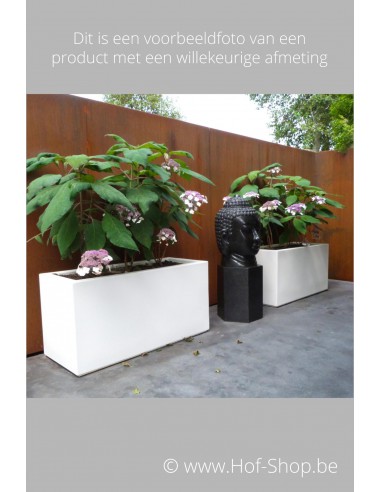 Carrez 100 x 50 x 50 cm - Jardinière Adezz en polyester