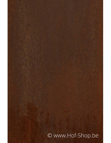 Collibox 30120 acier corten - Boîte à colis Arduo