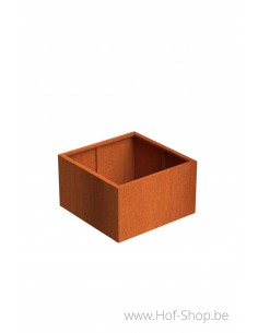 Andes 100 x 100 x 60 cm - Plantenbak in cortenstaal