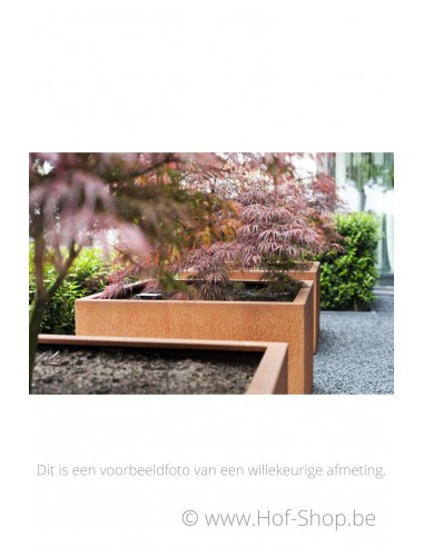 Carrez 50 x 50 x 100 cm - Jardinière Adezz en acier Corten