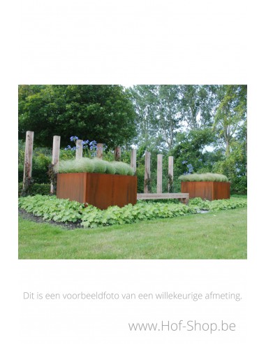 Andes - Plantenbak in cortenstaal