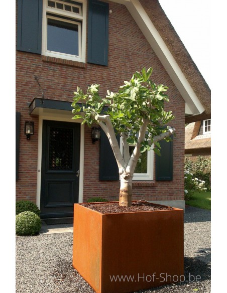 Andes - Plantenbak in cortenstaal Adezz
