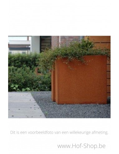Carrez 40 x 40 x 80 cm - Jardinière Adezz en acier Corten