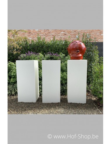 Buxus 40 x 40 x 100 cm - Plantenbak in polyester