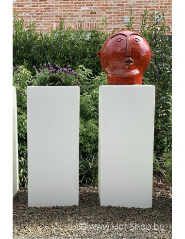 Buxus 40 x 40 x 100 cm - Plantenbak in polyester