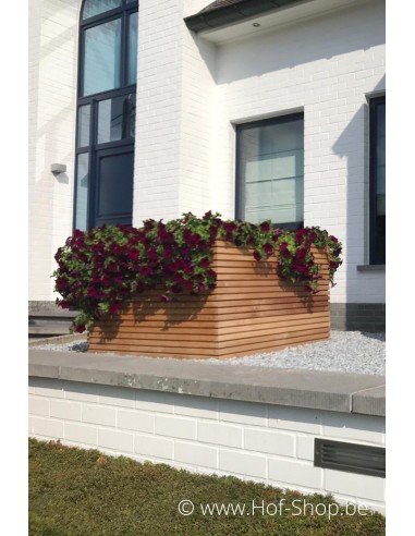 Malaga Rhombus 120 x 120 x 77 cm - Plantenbak in hardhout